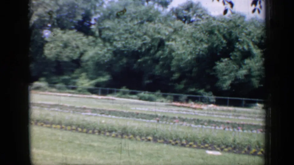 1957 Chicago home-movie view of a landscaped garden area with low beds, grass, trees, and a fence line.