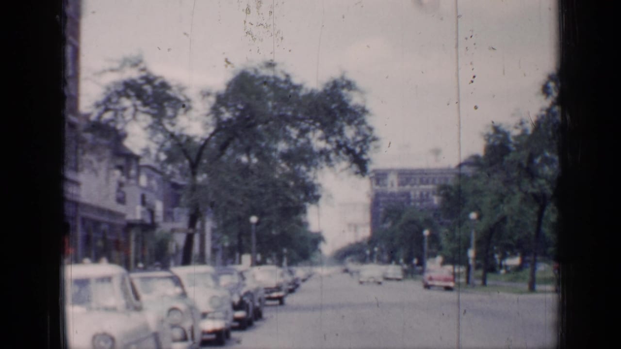 Tree-lined city street with parked mid-century cars and low buildings.