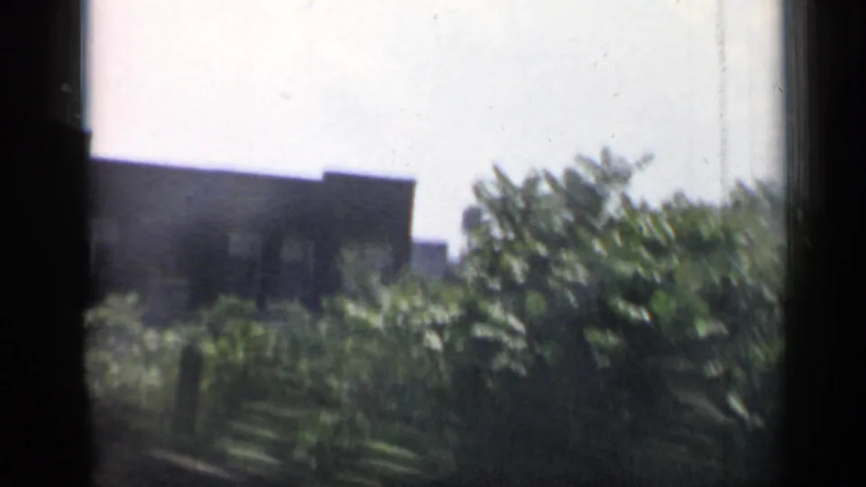 1958 Chicago train-window view of a dark low building, dense green trees, and bright sky, softened by motion and glass.
