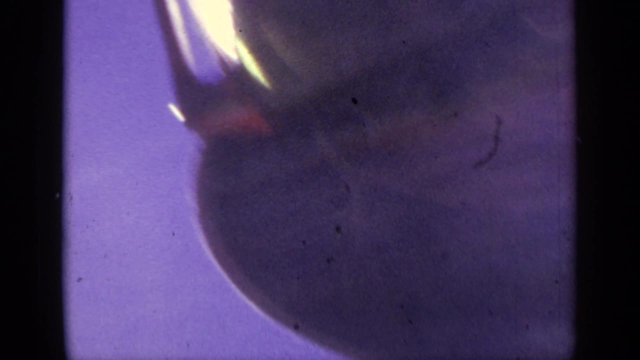 A large shadowed chairlift-like shape fills the 1959 Colorado 8mm frame, with bright edge flare and a purple-blue sky behind it.