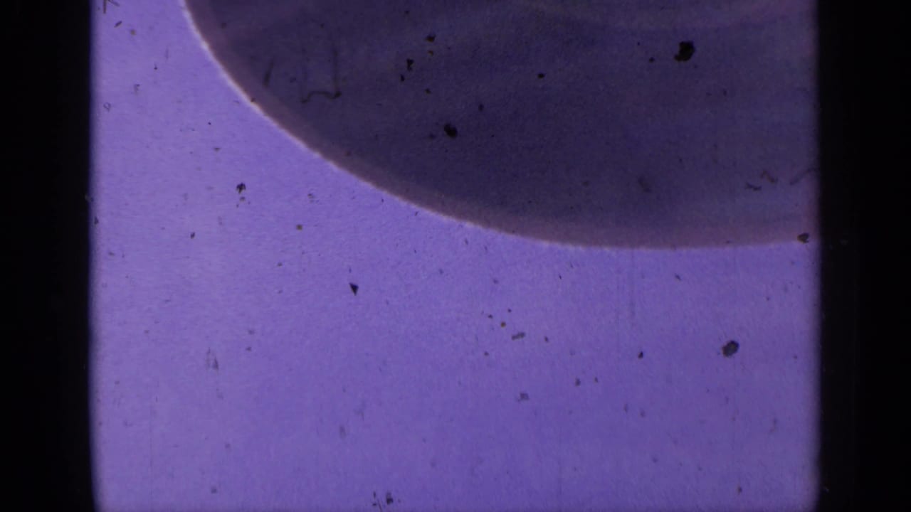 1959 Colorado 8mm frame showing a purple-blue microscope view with a large dark rounded specimen edge and visible film wear.