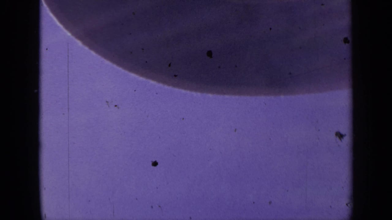 1959 Colorado 8mm microscope close-up with a dark curved cell-like form near the top of a purple field.