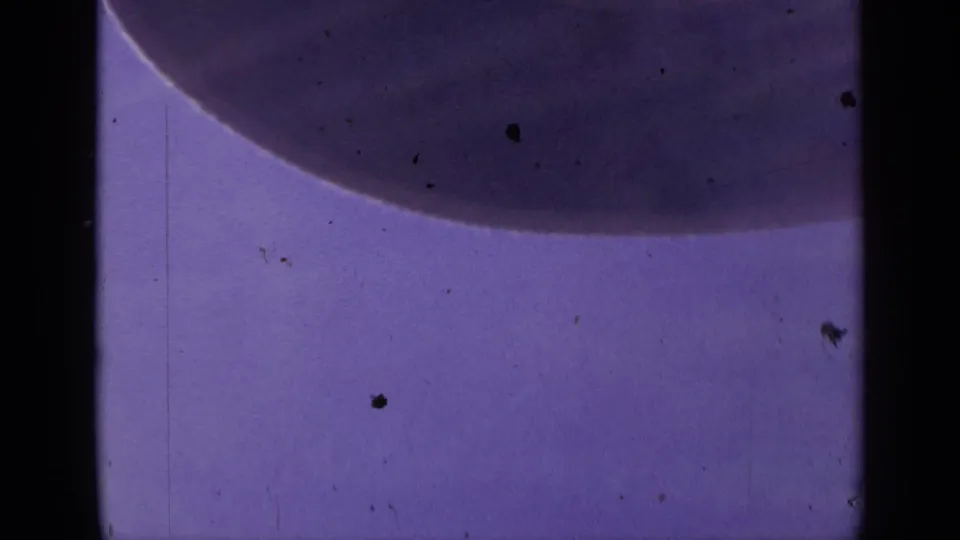 1959 Colorado 8mm microscope close-up with a dark curved cell-like form near the top of a purple field.