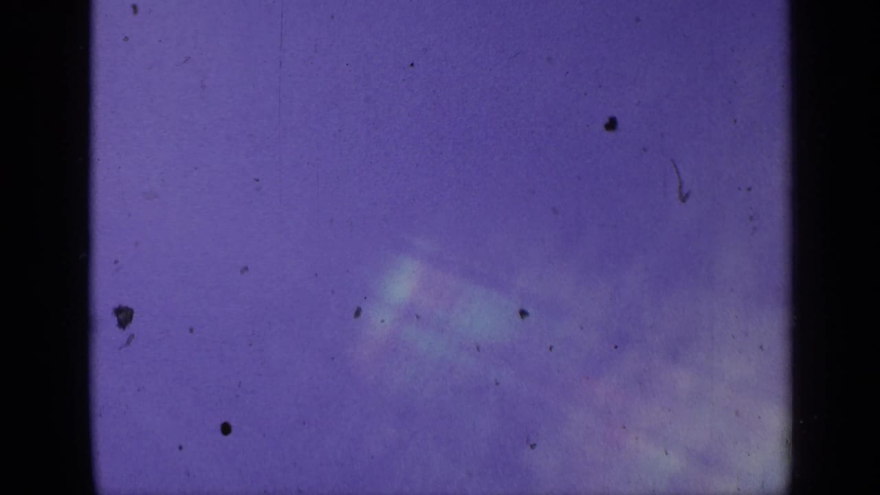 Purple-tinted 8mm frame with film dust and a partial view of a fenced zoo enclosure.