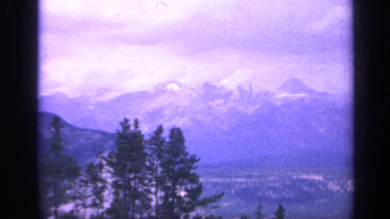 Purple-tinted cloudy sky over distant snow-capped mountains and dark evergreens.