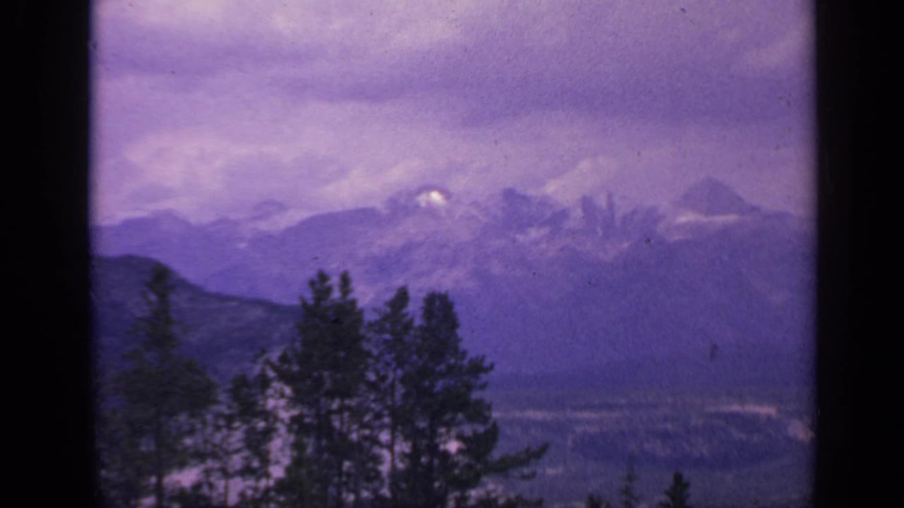 Snow-capped mountains behind dark evergreen trees under a cloudy purple-tinted sky.