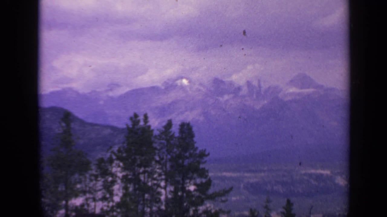 1959 Colorado 8mm frame showing dark evergreen trees silhouetted against distant snow-capped mountains under a purple-tinged sky.