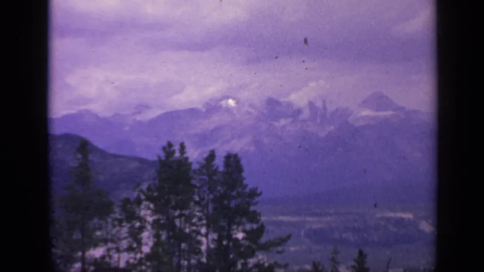 1959 Colorado 8mm frame showing dark evergreen trees silhouetted against distant snow-capped mountains under a purple-tinged sky.