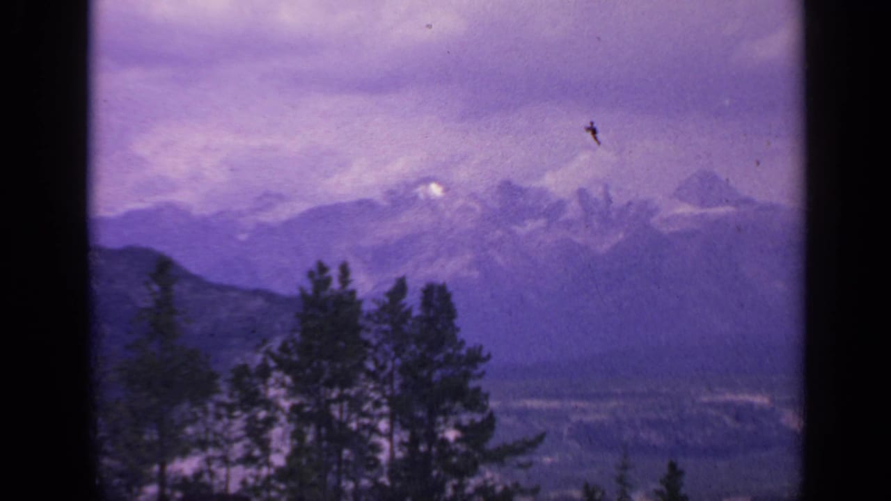 Distant mountain range with evergreen treetops and a small dark speck in the sky.
