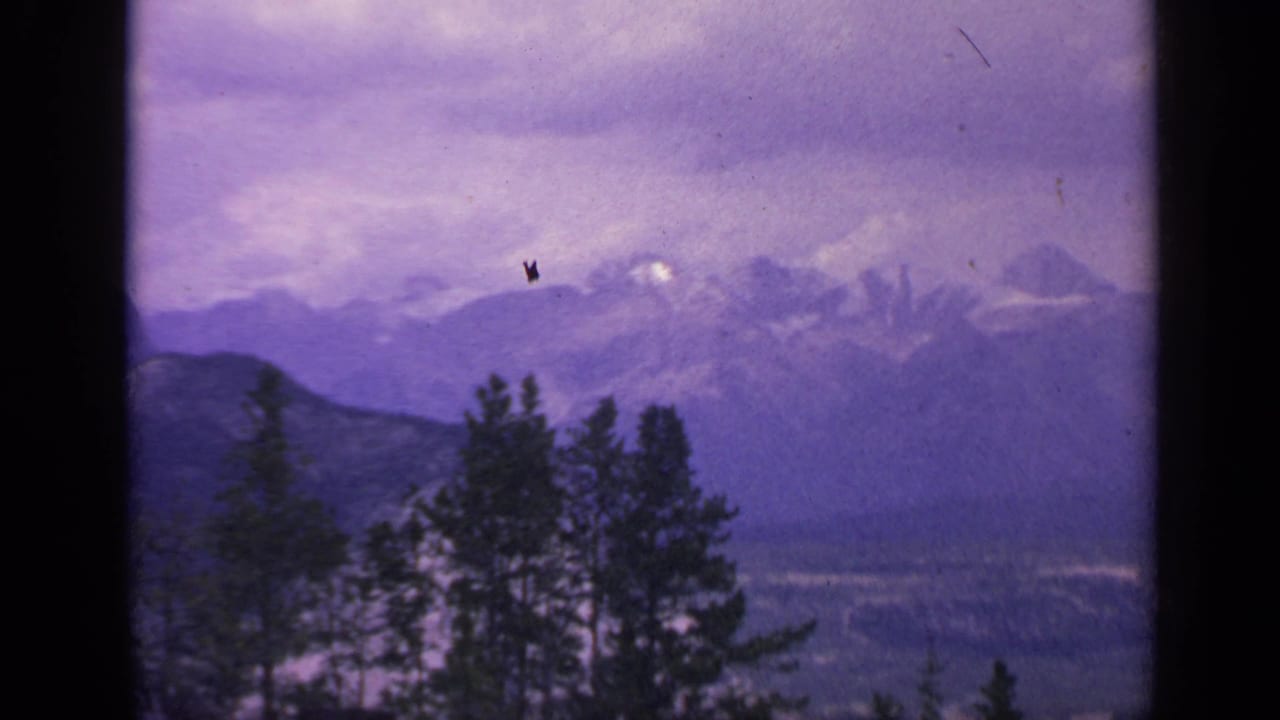 1959 Colorado 8mm frame showing evergreen trees below hazy mountain peaks, with a small bird-like shape or debris mark against the sky.
