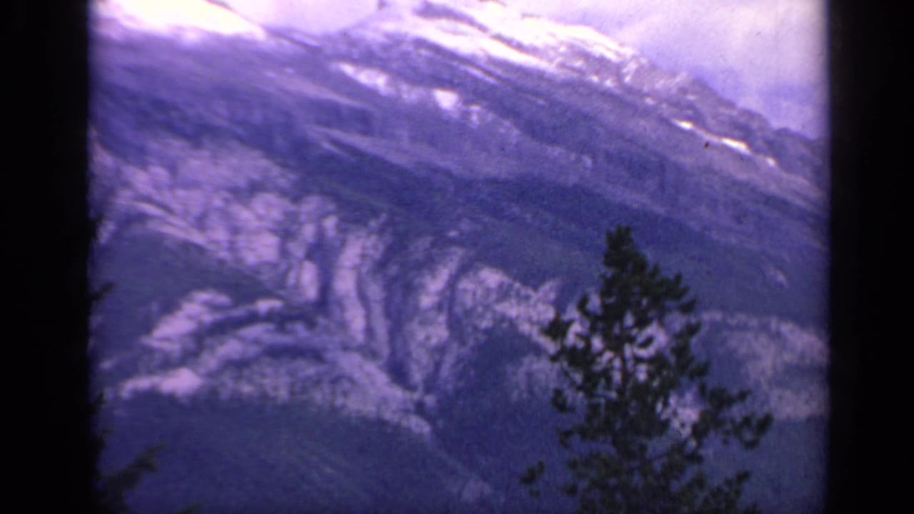 Large snowy mountain slope with a pine tree in the foreground and dark film borders.
