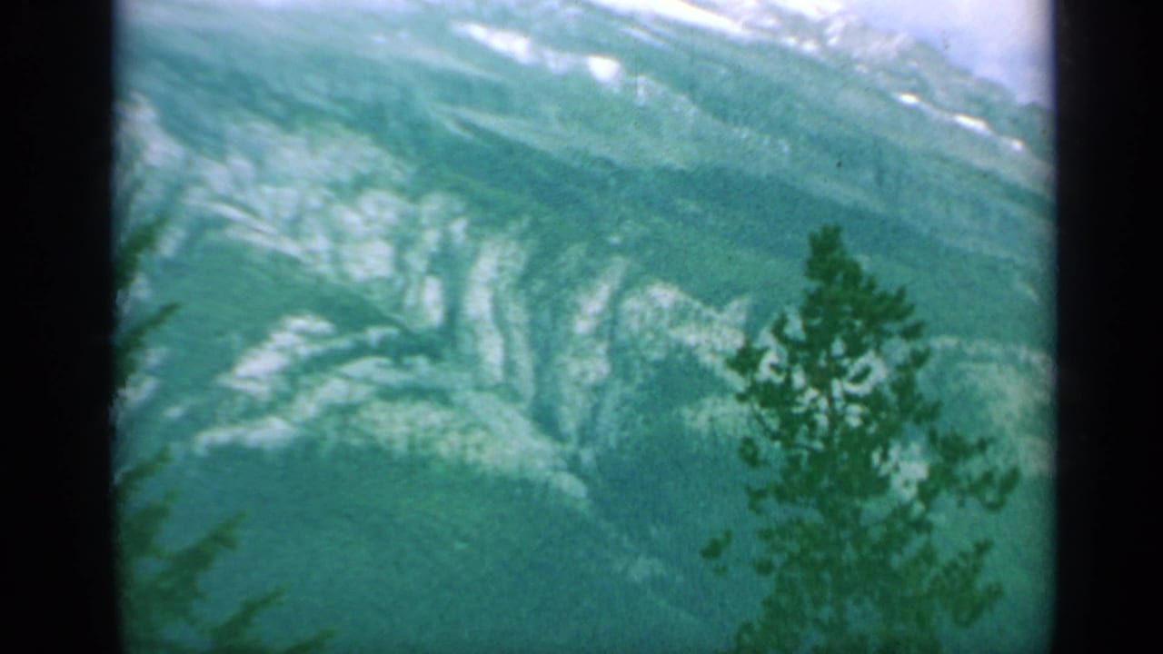Green-tinted mountain gorge seen past a pine tree silhouette.