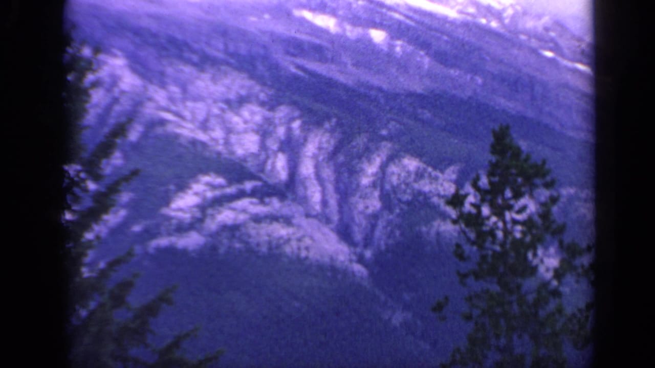 1959 Colorado 8mm frame showing distant snow-capped mountain slopes partly screened by evergreen trees.