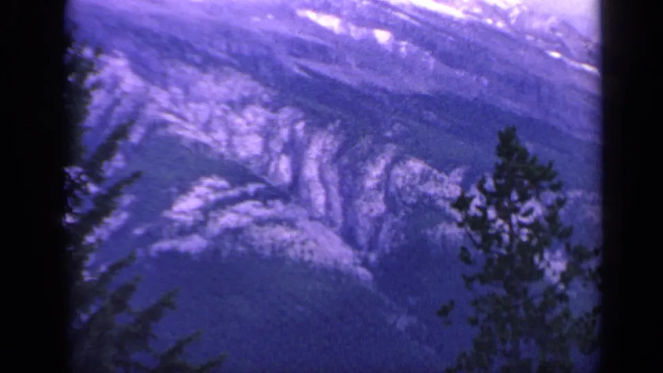 1959 Colorado 8mm frame showing distant snow-capped mountain slopes partly screened by evergreen trees.