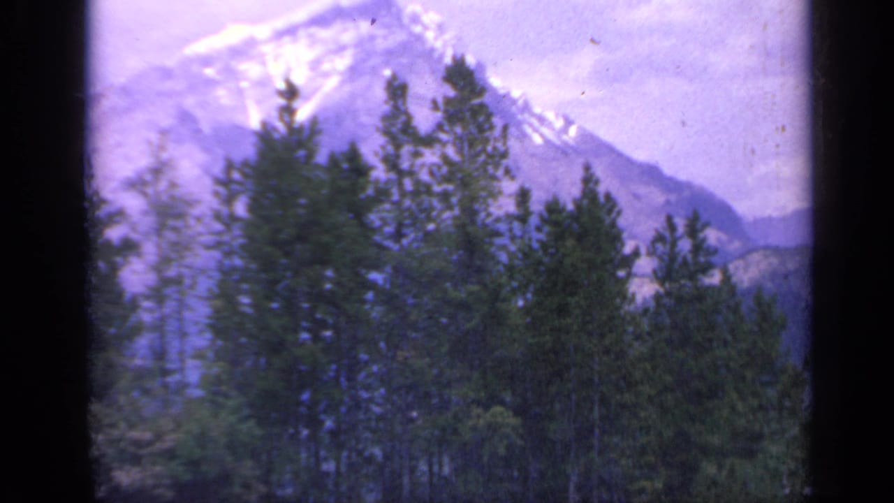 1959 Colorado 8mm frame showing dense evergreen forest before a softly focused snowy mountain backdrop.