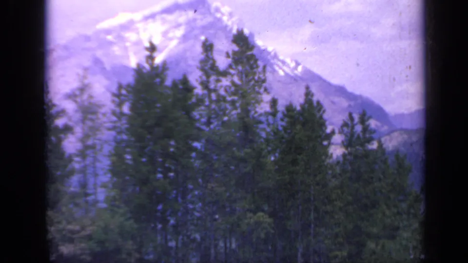 1959 Colorado 8mm frame showing dense evergreen forest before a softly focused snowy mountain backdrop.
