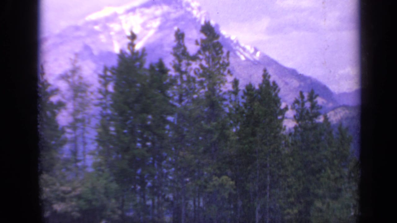 1959 Colorado 8mm frame showing a distant snowy mountain partly obscured by evergreen forest and soft purple color shift.