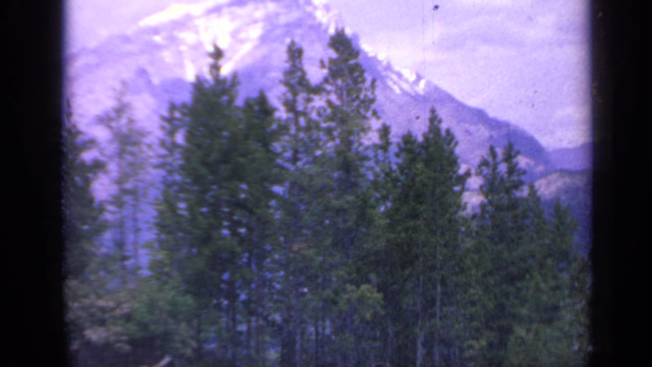1959 Colorado home-movie frame with evergreen trees in the foreground and a distant snow-streaked mountain beyond.