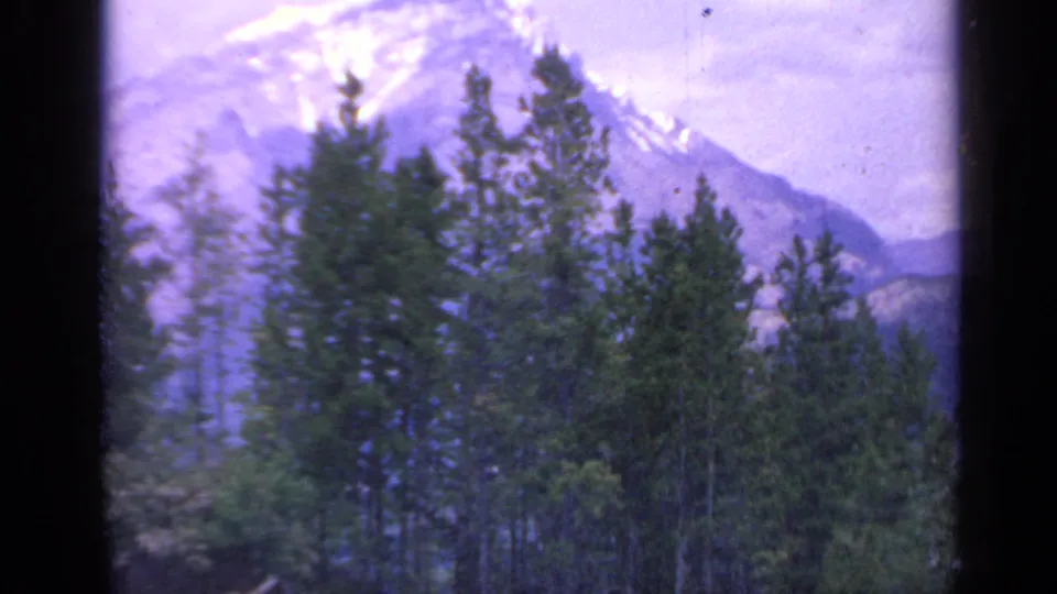 1959 Colorado home-movie frame with evergreen trees in the foreground and a distant snow-streaked mountain beyond.