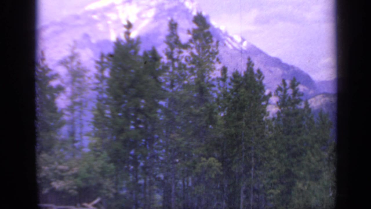 A 1959 Colorado 8mm landscape frame shows dark evergreens, a distant icy mountain top, and aged film borders.