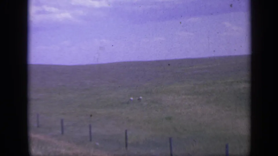 Late-1950s Colorado 8mm frame with a wire fence, rolling pasture, and two distant white sheep.
