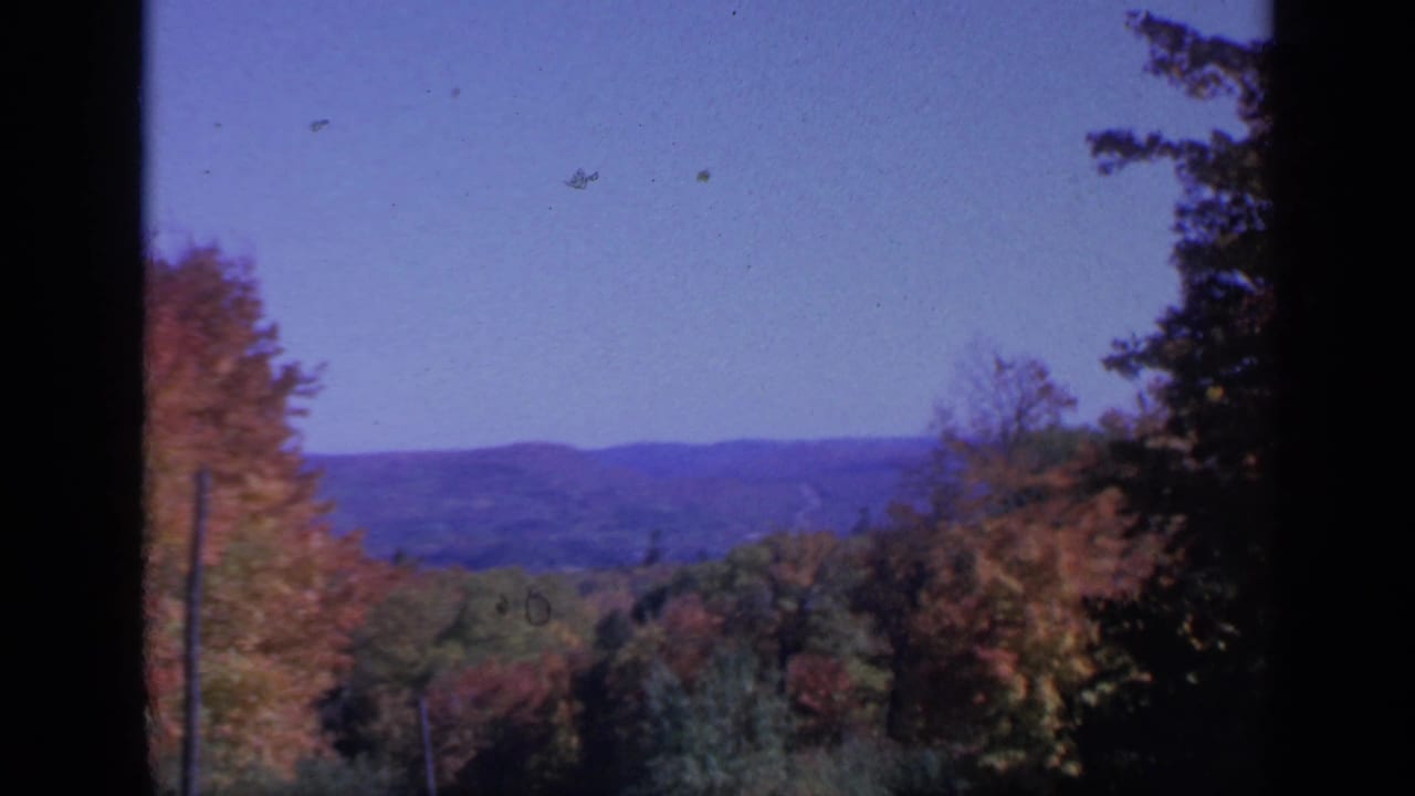 Distant mountain ridge beyond colorful trees under a clear blue sky.