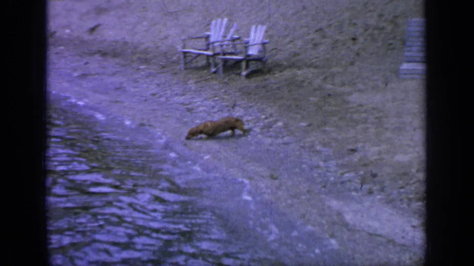 1964 Greenwood Lake frame showing a small brown dog on the pebbled shoreline with two white chairs set back from the water.