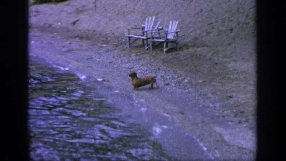 1964 Greenwood Lake home-movie frame with a small brown dog standing on the shore below two white chairs near the water.