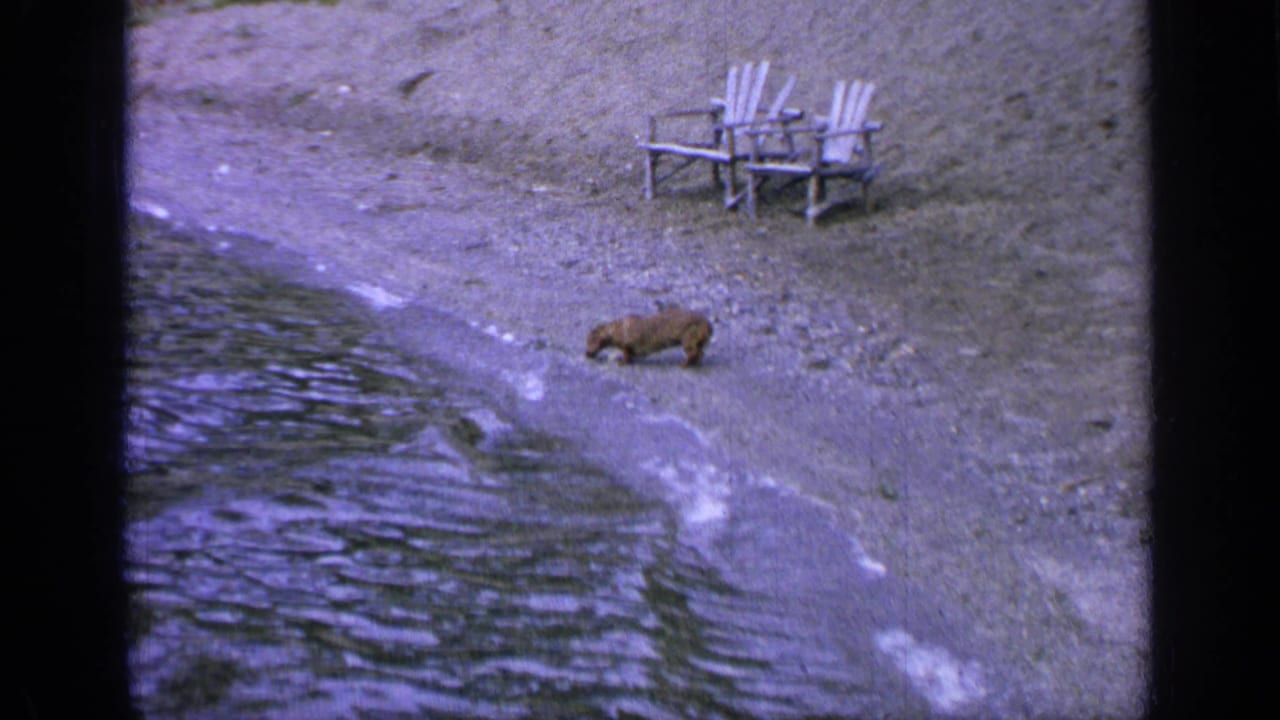 1964 Greenwood Lake frame with a small dog moving along the shoreline, lake water at left, and two white chairs in the background.