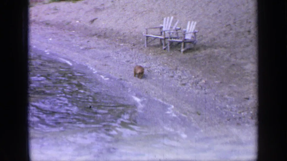 1964 Greenwood Lake home-movie view of a small dog near the water, with gravel beach and white chairs visible behind it.