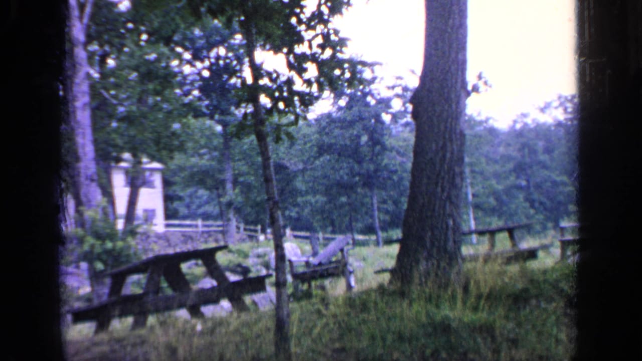 1964 Greenwood Lake home-movie frame showing picnic tables in an overgrown wooded area with trees and small pale structures beyond.