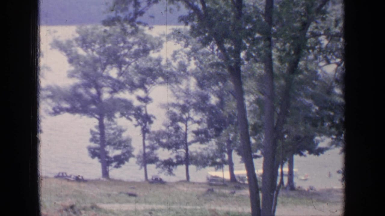 Lakeside trees, grass, and distant parked cars near bright water.