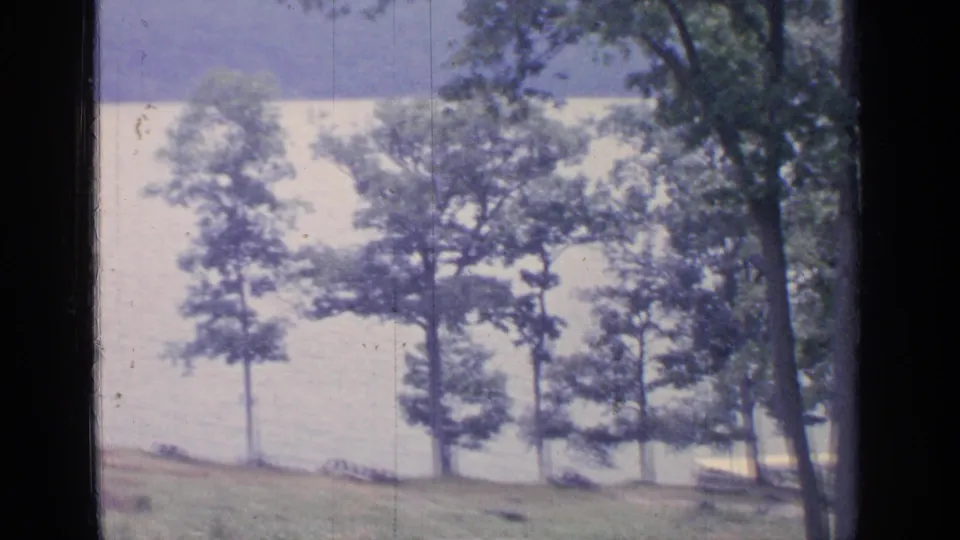 A soft 8mm frame of Greenwood Lake with a grassy slope, tall trees, bright water, and faint distant activity near shore.