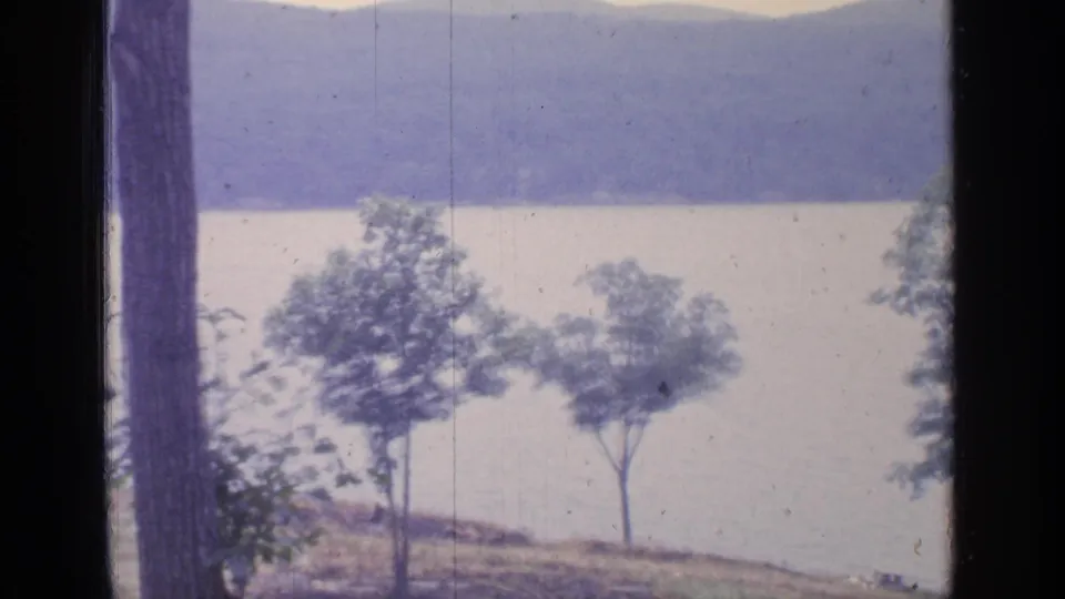 1964 Greenwood Lake frame with a large foreground trunk, smaller shoreline trees, pale lake water, and hazy hills beyond.