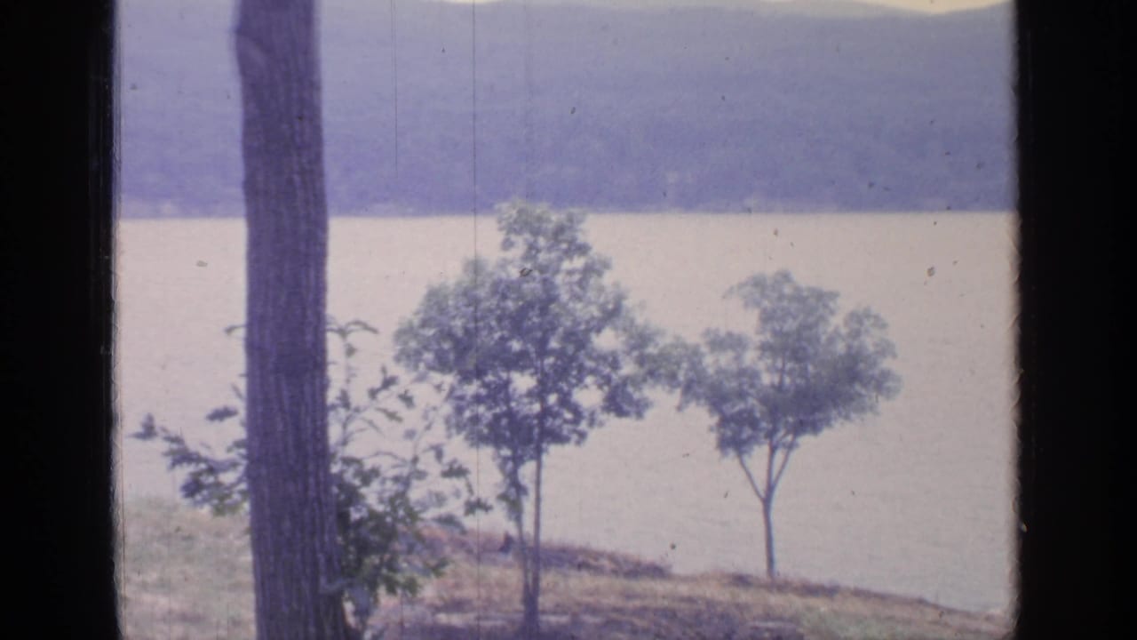 1964 Greenwood Lake view framed by foreground tree trunks, small trees, shoreline grass, water, and distant wooded hills.