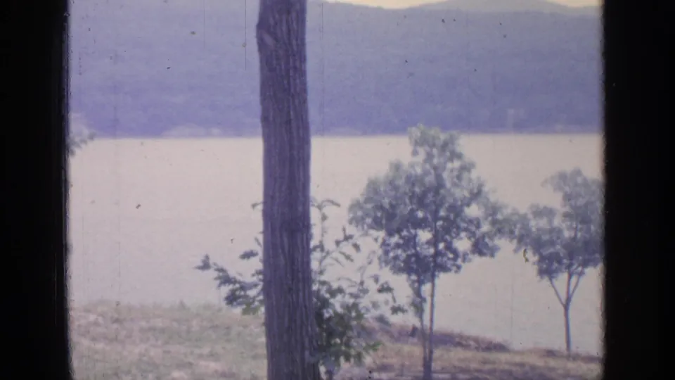 Greenwood Lake landscape with a prominent tree trunk, small shoreline trees, pale water, and soft hills in a faded 8mm frame.
