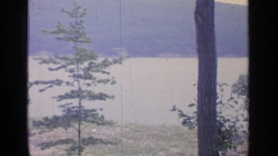 Greenwood Lake shoreline view with a young evergreen, large tree trunk, pale lake surface, grassy bank, and hazy hills beyond.