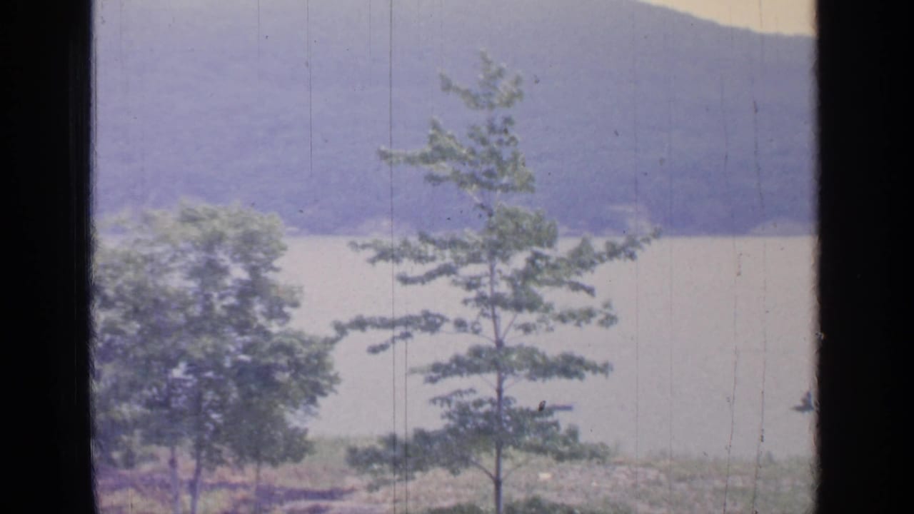 Greenwood Lake landscape in soft 8mm color, with a dark window mullion splitting the view of trees, pale water, and distant hills.