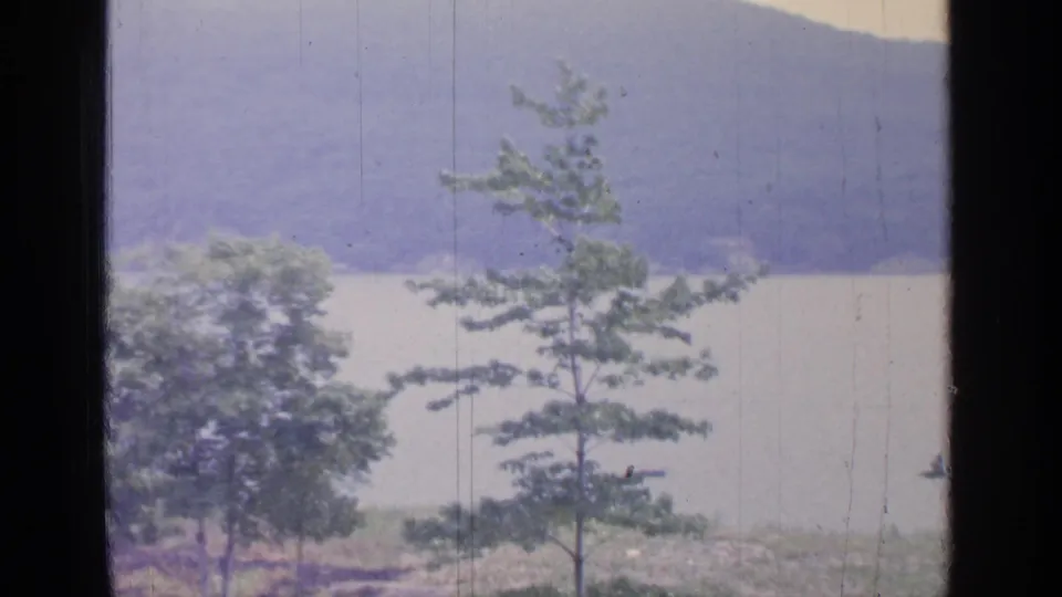 Greenwood Lake landscape in soft 8mm color, with a dark window mullion splitting the view of trees, pale water, and distant hills.