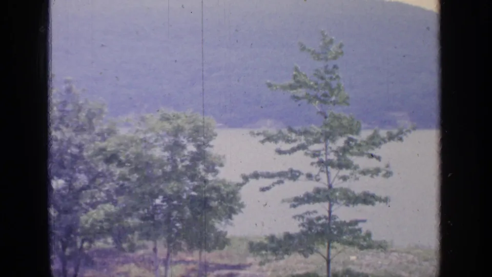 1964 home-movie frame showing Greenwood Lake through a window, with leafy trees, a young pine-like tree, pale water, and a hazy hillside.