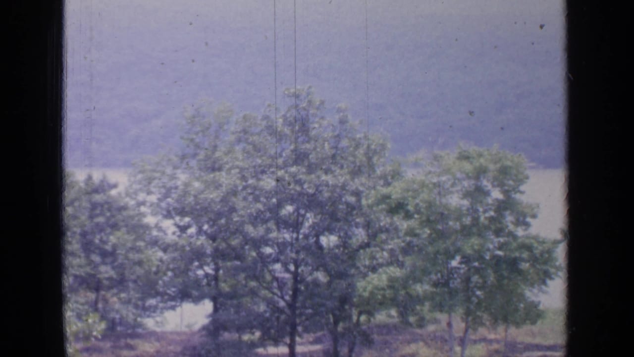 Second window-framed view of trees beside a lake.