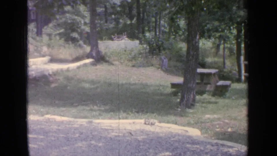 1964 Greenwood Lake yard scene showing trees, grass, a rustic fence, picnic table, small fire pit, and pale gravel in the foreground.