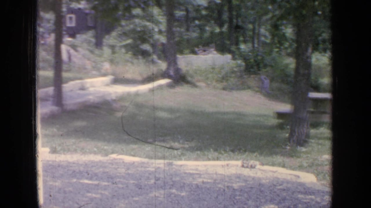 Wooded lakeside park with grass, trees, a path, and a small structure in the distance.