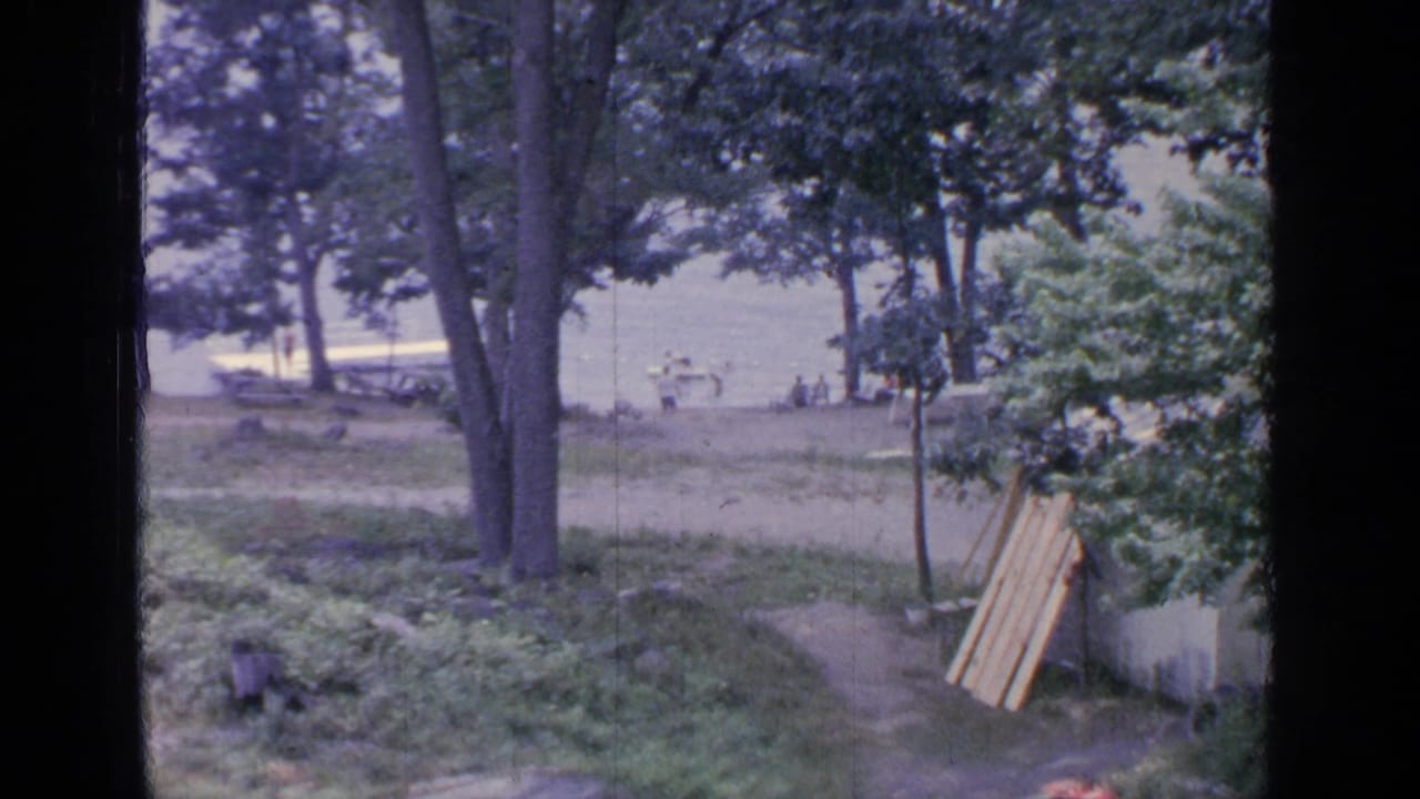 Greenwood Lake shoreline scene with tall trees, picnic tables, distant people by the water, and stacked boards near a fence.