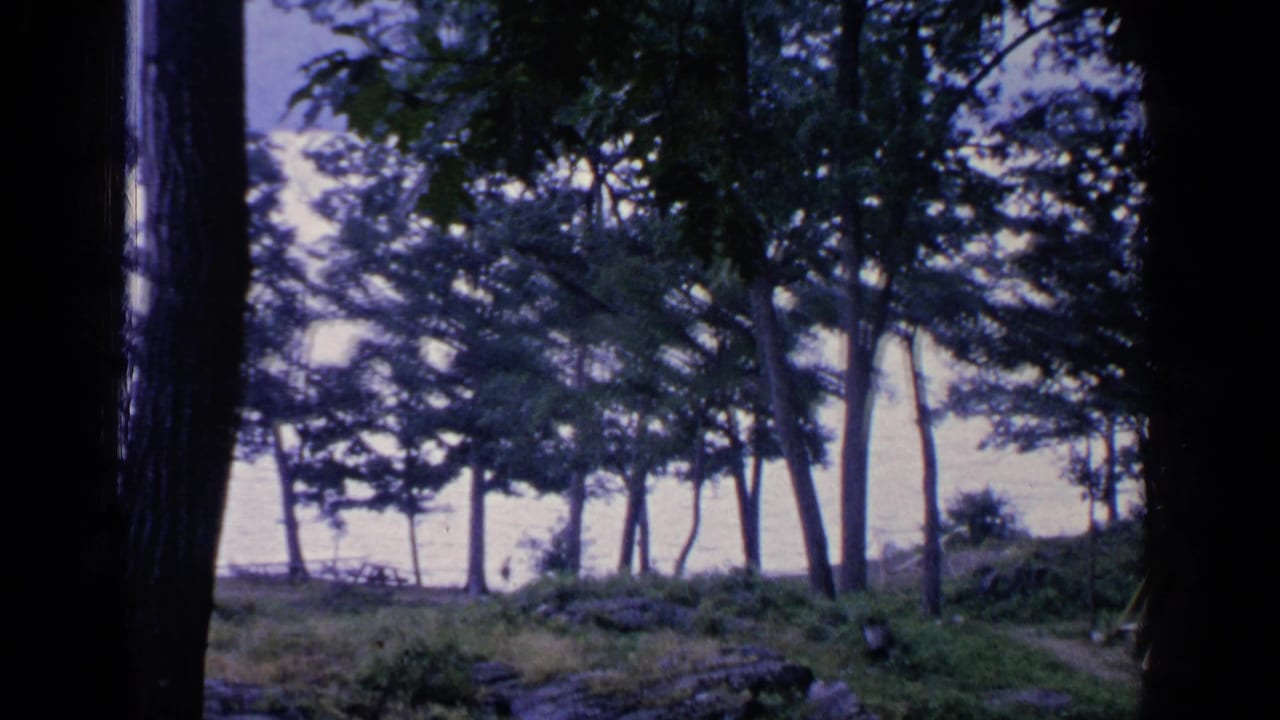 Dark tree trunks frame a grassy lakeside hillside with scattered trees and pale water beyond.