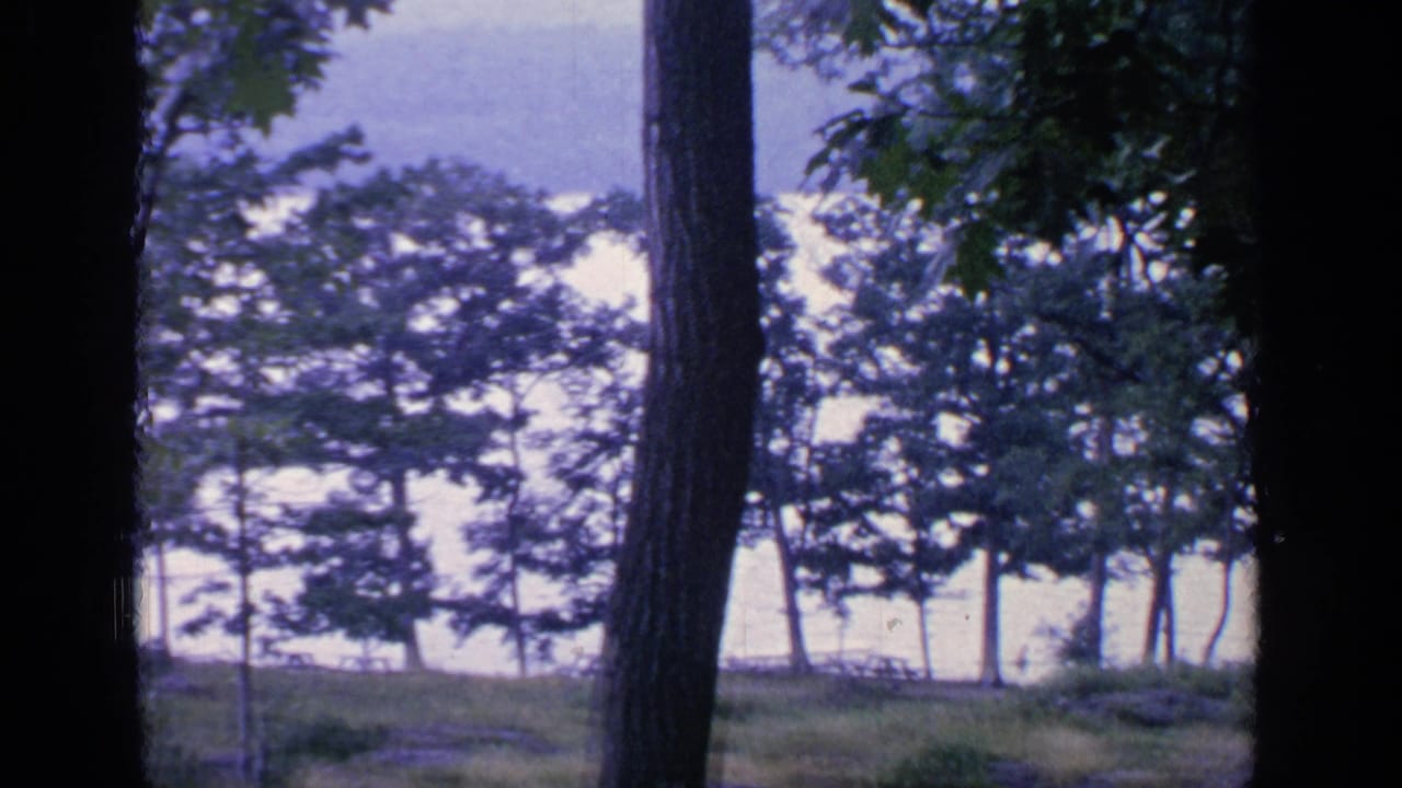 Greenwood Lake, New York, in 1964, with dark tree trunks in front of a grassy lakeside slope and wind-shaped trees.