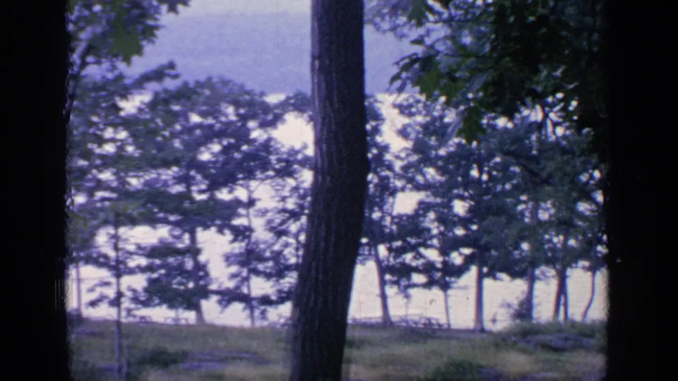 Greenwood Lake, New York, in 1964, with dark tree trunks in front of a grassy lakeside slope and wind-shaped trees.
