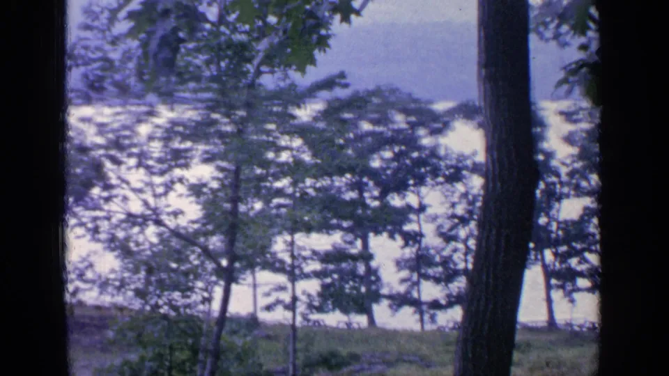 Soft 8mm frame of a Greenwood Lake hillside, with foreground trunks, leafy trees, grass and bright water beyond.