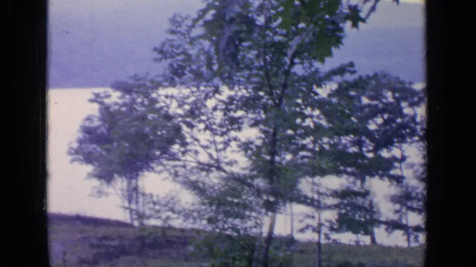 1964 lakeside home-movie view at Greenwood Lake, showing a grassy rise, trees, brush and pale water through aged color film.