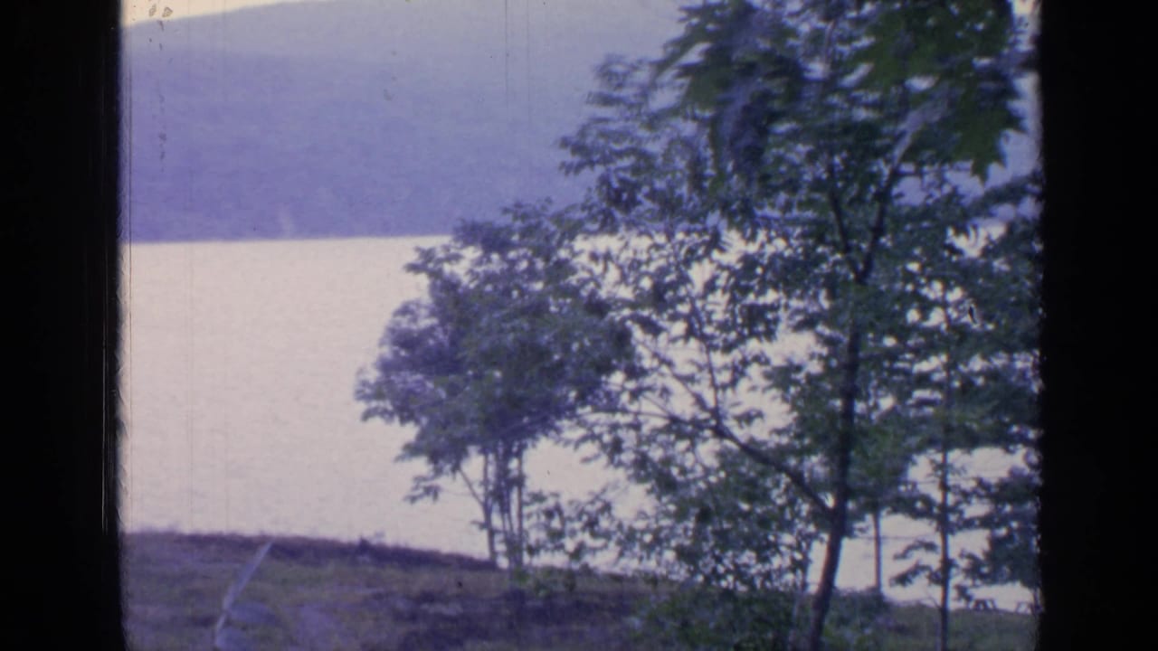 1964 Greenwood Lake home-movie frame showing foreground trees, a grassy bank, bright water, and distant hazy hills.